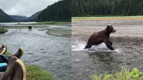 Mannen genieten samen met hun hond van een dagje vissen