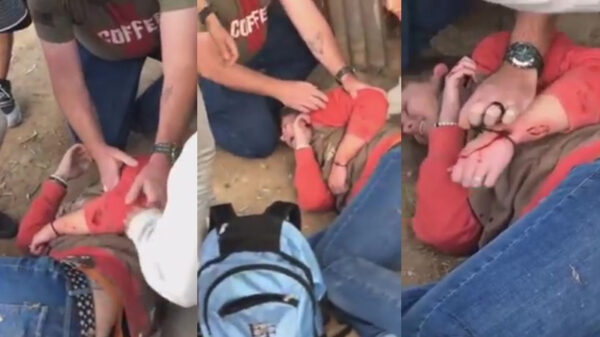 Domme doos klimt voor selfie over hek en wordt gepakt door een jaguar