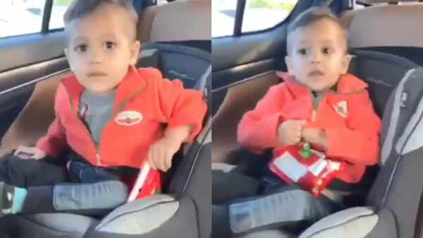 Koter gaat met vader naar de bios en leert een cruciale levensles