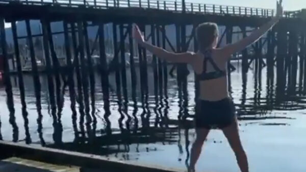 Elegant het water inspringen