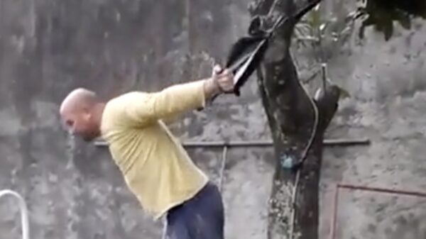 Het bewijs dat elastiek levensgevaarlijk is deel #546