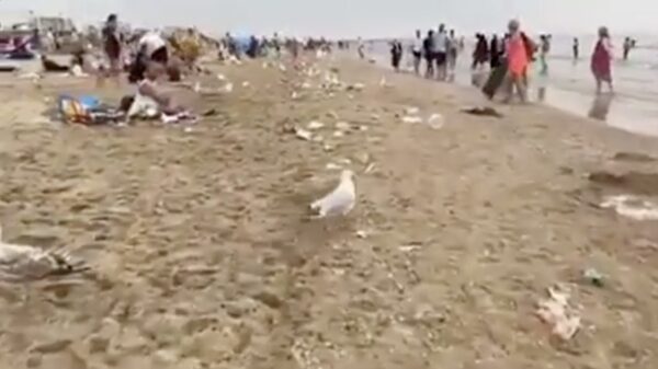 Nóg een reden om het strand van Scheveningen te mijden
