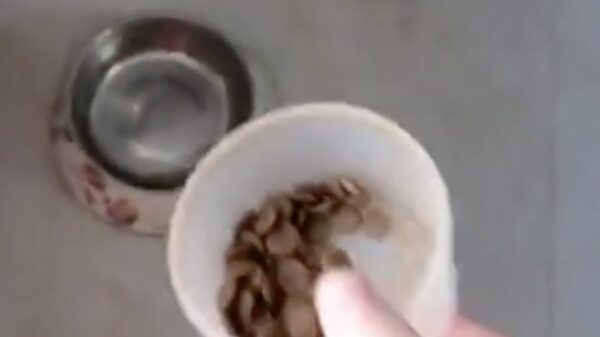 "Bro, wat flik je me nou?"