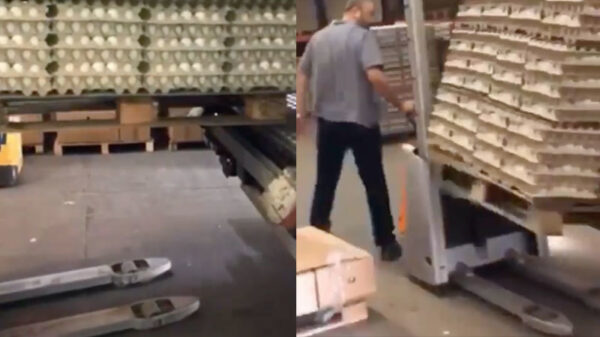 Zijn eerste dag in de eierfabriek was niet echt succesvol