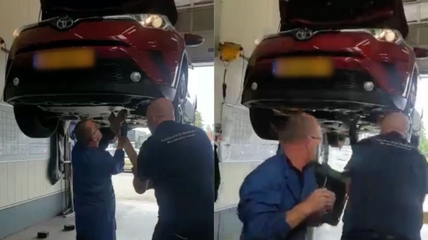 Garagemedewerkers vinden steenmarter in een auto