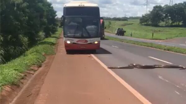 Sommige asociale slangen nemen gewoon voorrang in het verkeer!