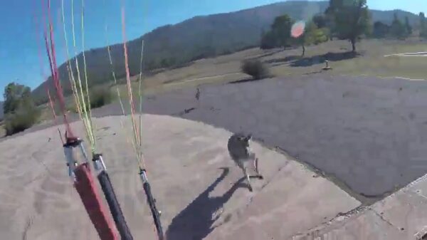 In Australië moeten ze niets van parachutisten hebben