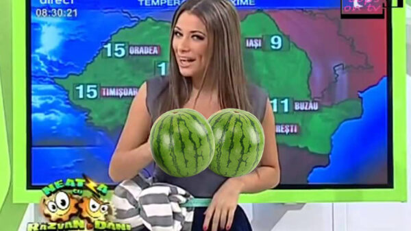 Classic: De uitblinkers van weervrouw komen net iets te hoog boven de schutting