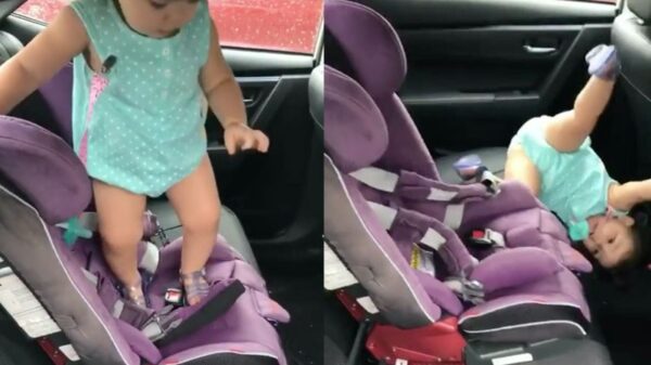 Superknap: dreumes klimt zelf in haar autostoeltje