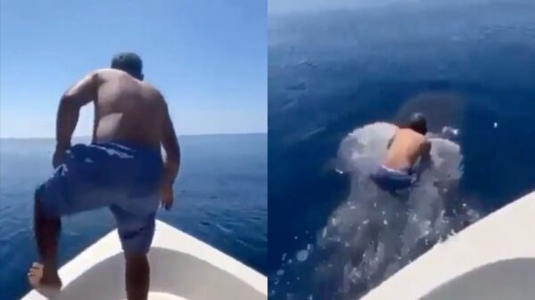 Ondertussen in Saoedi-Arabië: man maakt ontspannen ritje op walvishaai