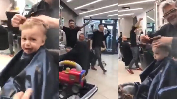 Kappers zingen om een jankende koter te kalmeren tijdens het knippen