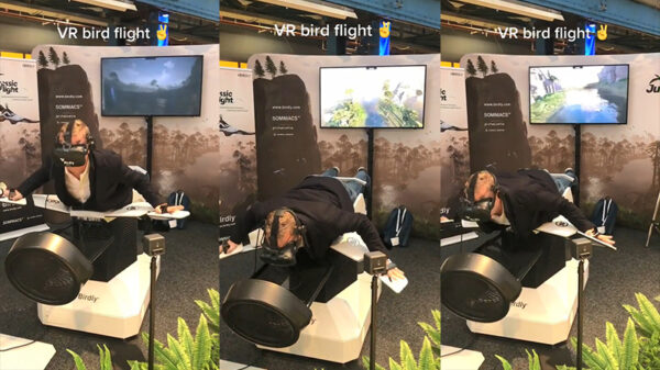 Dankzij deze VR-simulator ben je eindelijk echt zo vrij als een vogel