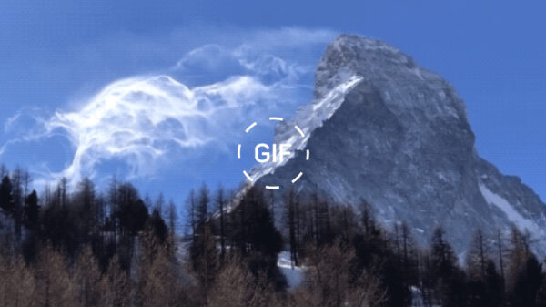 Een heerlijke stapel perfectie-gifs die gewoon lekker zijn