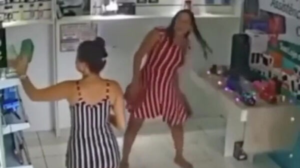 Deze winkeldievegge is vingervlug