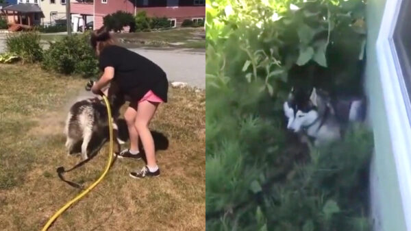 Nope, ik ga echt niet in bad