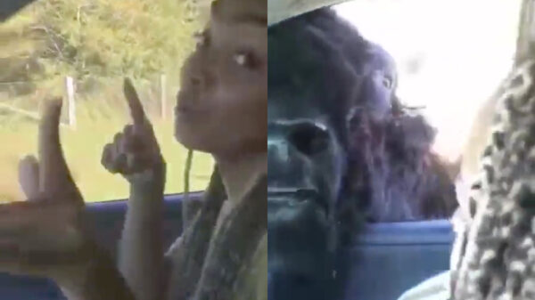 Hey hallo, heeft er iemand zin om te tongen?