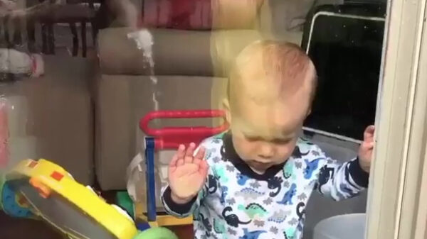 Even je koter trollen met een tuinslang