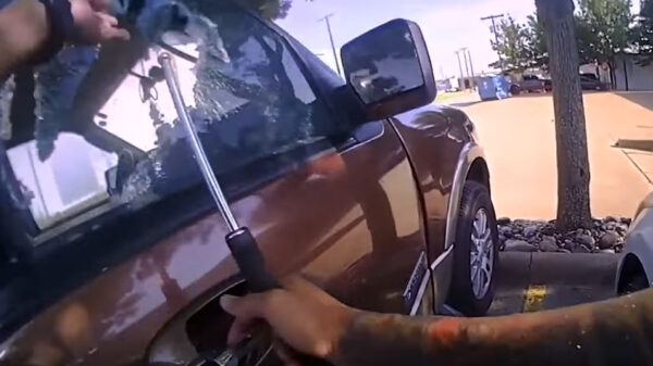 Agent redt baby uit snikhete auto en is onze held van de dag