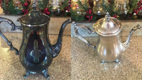 Gore dingen die weer schoon worden gemaakt zijn enorm bevredigend om te zien