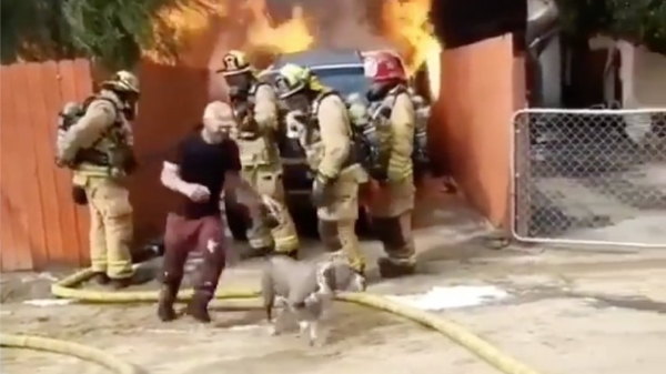 Held rent brandend huis in om zijn hond te redden