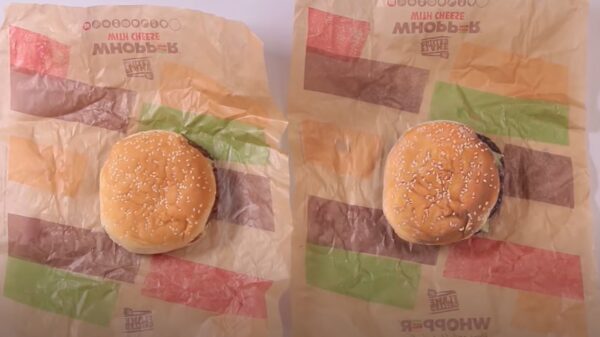 Hyperrealistische tekenaar Howard Lee laat je raden welk object écht of een tekening is