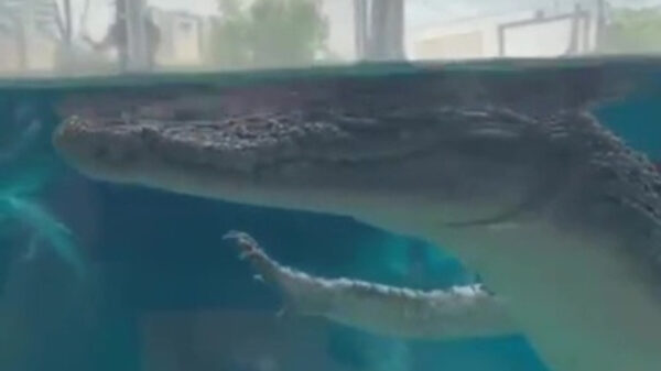 Niks aan de hand, ik kom gewoon even voorbij