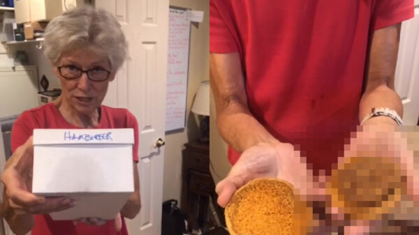 Smakelijk: oma onthult een McDonald's hamburger die ze 20 jaar heeft bewaard