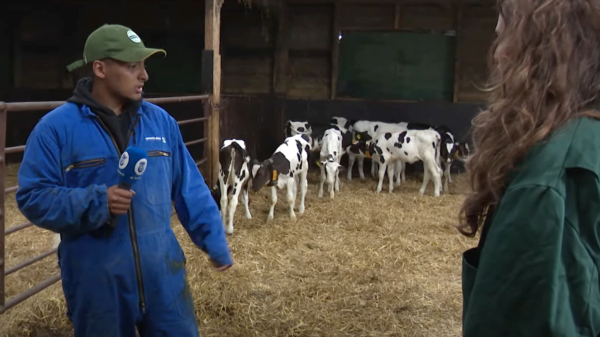 Boer Ayoub (22) gaat viraal en Michelle Willemsen komt gezellig langs op de boerderij