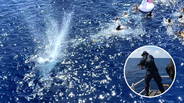 De US Coast Guard schiet op haai die op zwemmende mensen afgaat