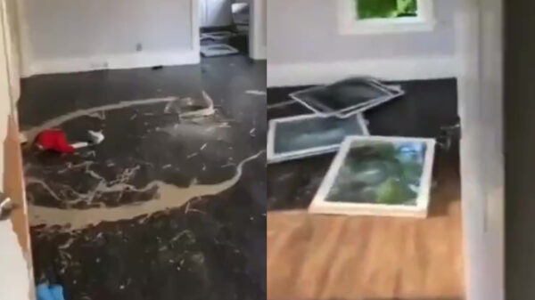 Huurder sloopt woning nadat hij deze moet verlaten