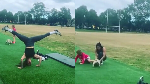 Terwijl onze fitgirl zich uitslooft heeft kleine Frans een nieuw slachtoffer gevonden