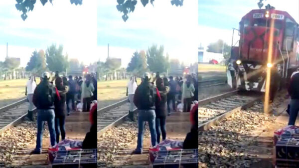 Treinofielen zijn naast liefhebbers blijkbaar ook ontzettend doof