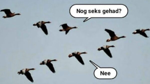 Wat kinderachtig, gvd (16)