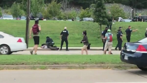 Gekkie blokkeert sleepwagen en wordt hardhandig gearresteerd