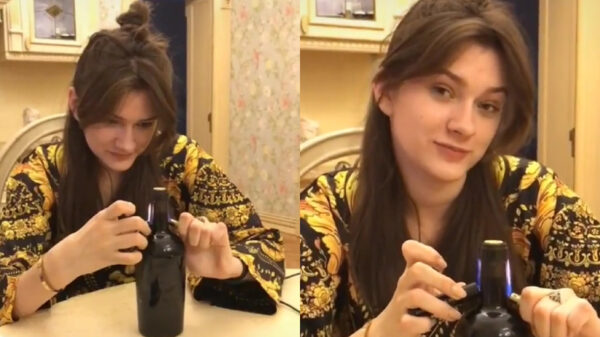 Met deze lifehack heb je nooit meer een kurkentrekker nodig