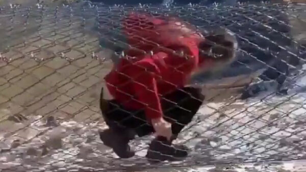 Deze brug is niet geschikt voor mensen met hoogtevrees