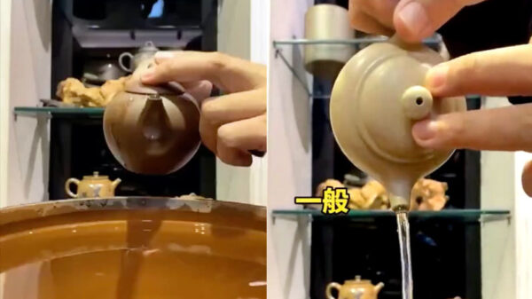 Hoe herken je of het tuitje van een Chinese theepot van fatsoenlijke kwaliteit is?