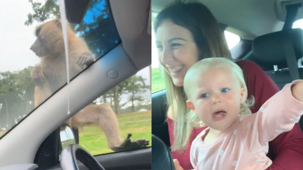 Het was weer ouderwets gezellig tijdens het familieuitje in de dierentuin