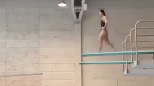 Duikplanktijger heeft een slechte dag