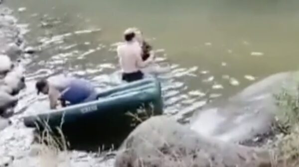 Stuntman springt vanaf hoogte in het water