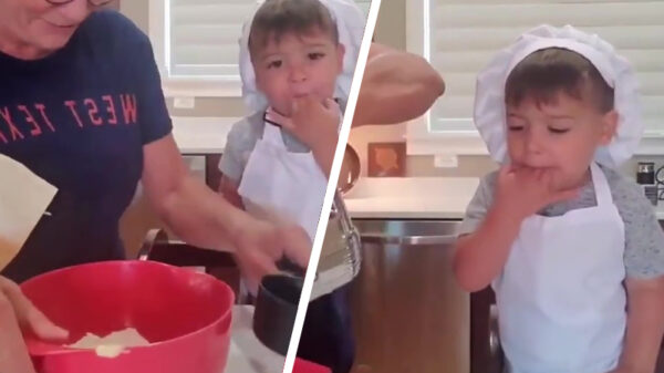 Koken met je hongerige koter is een stuk lastiger dan je denkt