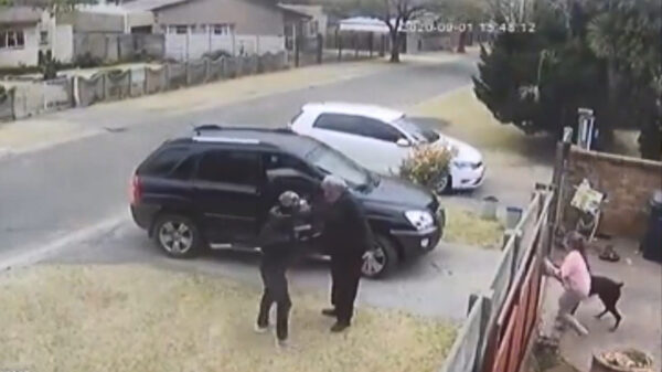 Hond redt eigenaar tijdens gewapende overval in Zuid-Afrika