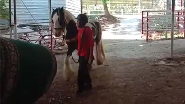 We hebben allemaal wel eens een ontzettende rotdag op het werk