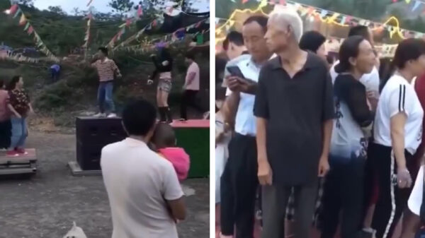 Tijd om even lekker met zijn allen te bouncen