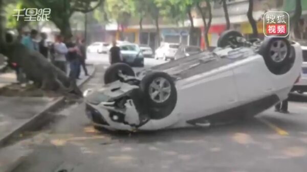 Bestuurder flipt auto op z'n dak na raken van uitstekende boomwortel