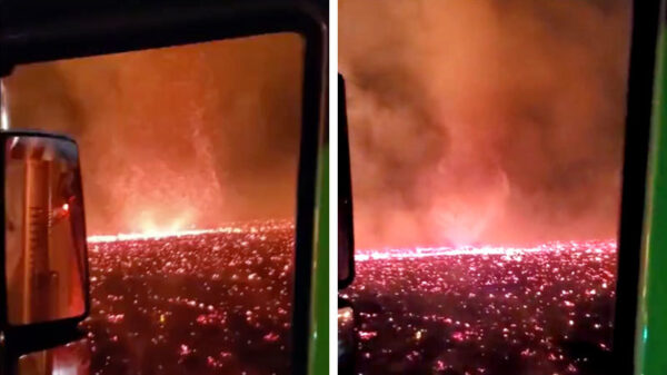 Net als je denkt dat 2020 niet erger kan worden...