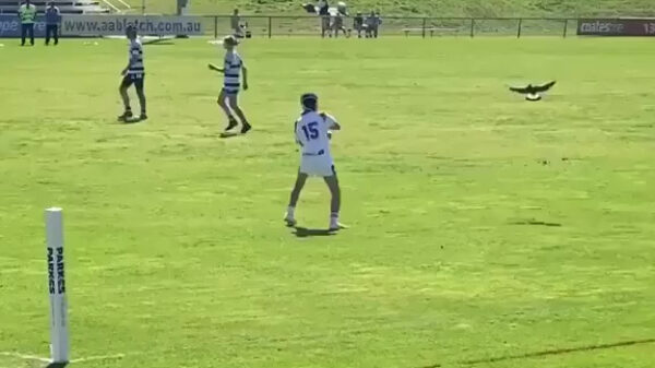 Ekster heeft een enorme hekel aan één bepaalde voetballer en gaat in de aanval