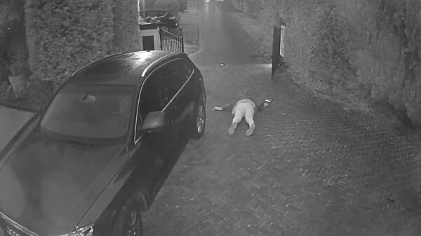 Beveiligingscamera legt keurige valpartij vast