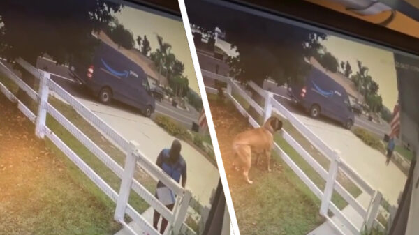 Soms is het bezorgen van pakketjes best een spannend beroep