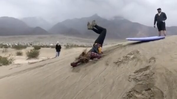 Veel beter had deze 'schorpioen' niet kunnen worden uitgevoerd